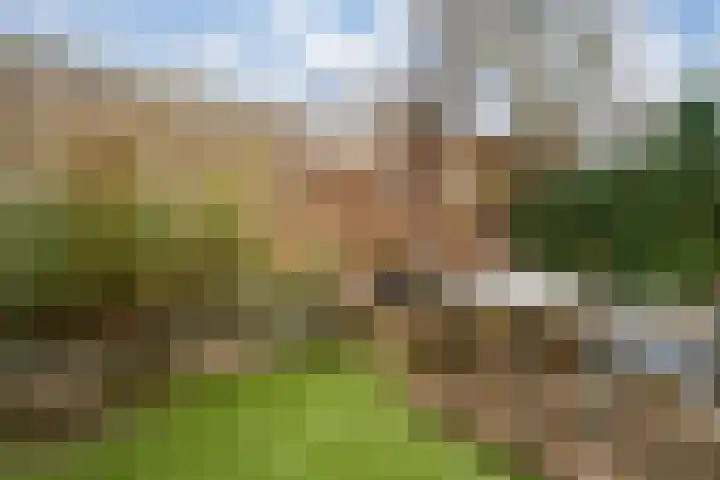 't Stegeslag 4 Zevenaar thumbnail 23