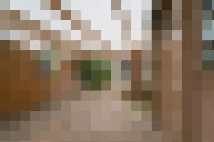 't Stegeslag 4 Zevenaar thumbnail 26