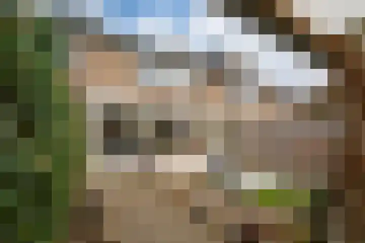 't Stegeslag 4 Zevenaar thumbnail 27