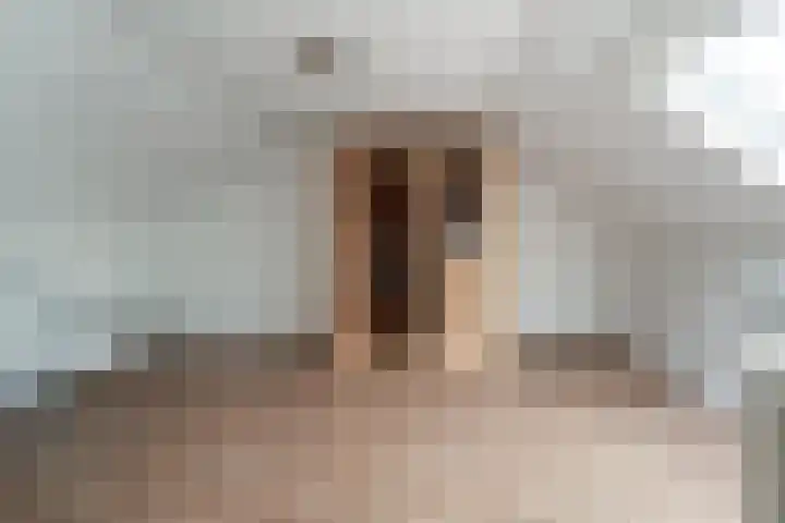 't Stegeslag 4 Zevenaar thumbnail 43