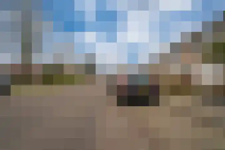 't Stegeslag 4 Zevenaar thumbnail 6