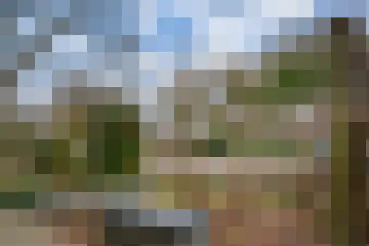't Stegeslag 4 Zevenaar thumbnail 7