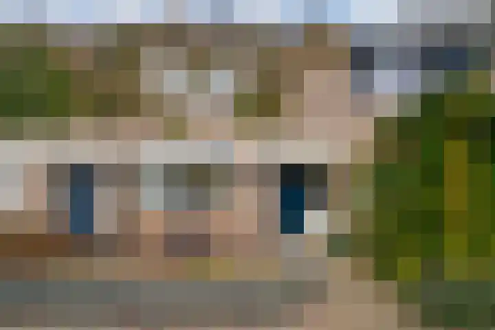 't Stegeslag 4 Zevenaar thumbnail 8