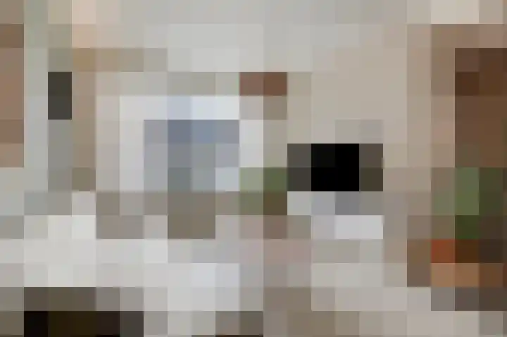 't Stegeslag 67 Zevenaar thumbnail 18