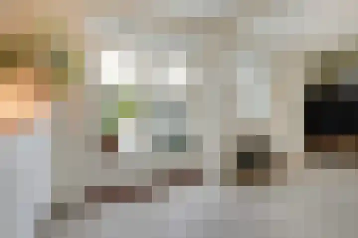 't Stegeslag 67 Zevenaar thumbnail 21