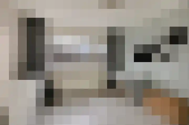 't Stegeslag 67 Zevenaar thumbnail 37