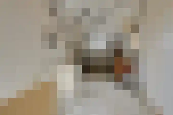 't Stegeslag 67 Zevenaar thumbnail 38
