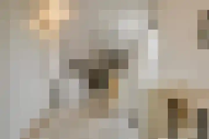 't Stegeslag 67 Zevenaar thumbnail 39