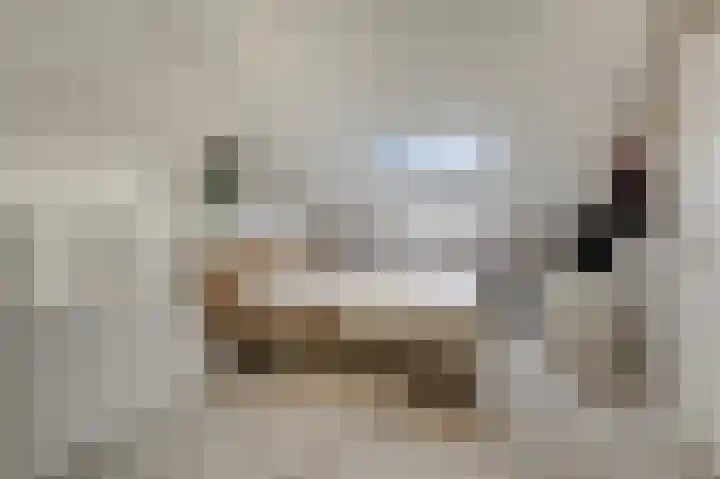 't Stegeslag 67 Zevenaar thumbnail 40