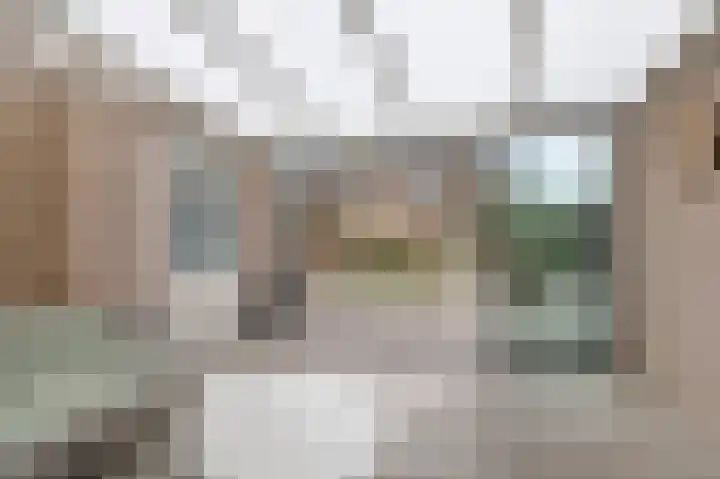 't Stegeslag 67 Zevenaar thumbnail 42