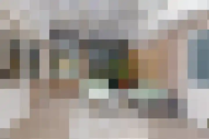 't Stegeslag 67 Zevenaar thumbnail 44