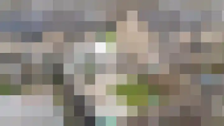 't Stegeslag 67 Zevenaar thumbnail 50