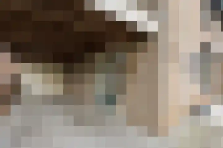 't Stegeslag 67 Zevenaar thumbnail 9