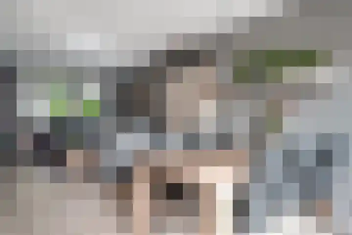't Stegeslag 72 Zevenaar thumbnail 17