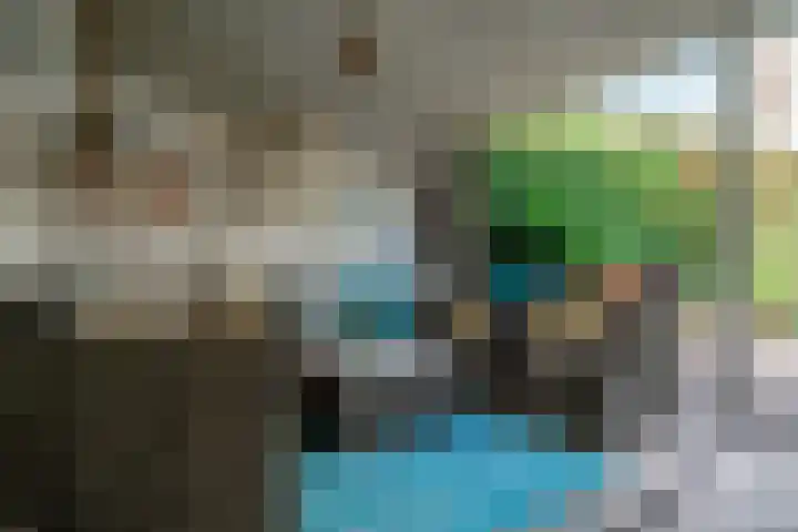 't Stegeslag 72 Zevenaar thumbnail 25