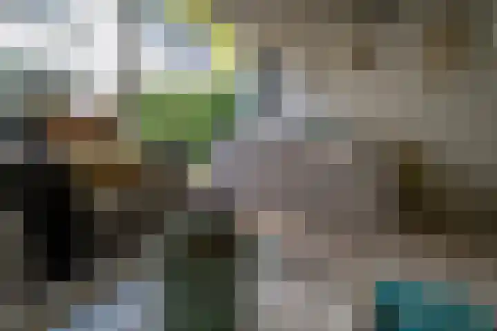 't Stegeslag 72 Zevenaar thumbnail 26