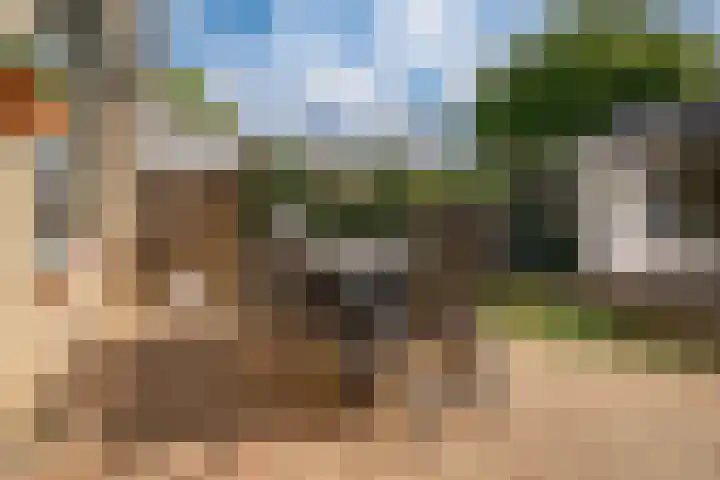 't Stegeslag 72 Zevenaar thumbnail 27