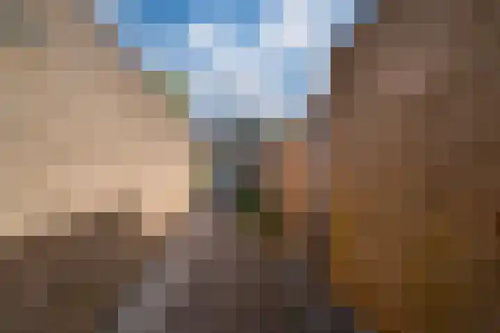 't Stegeslag 72 Zevenaar thumbnail 28