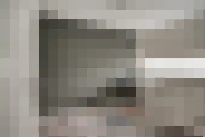 't Stegeslag 72 Zevenaar thumbnail 31