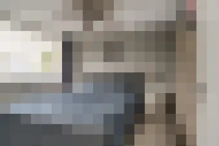 't Stegeslag 72 Zevenaar thumbnail 34