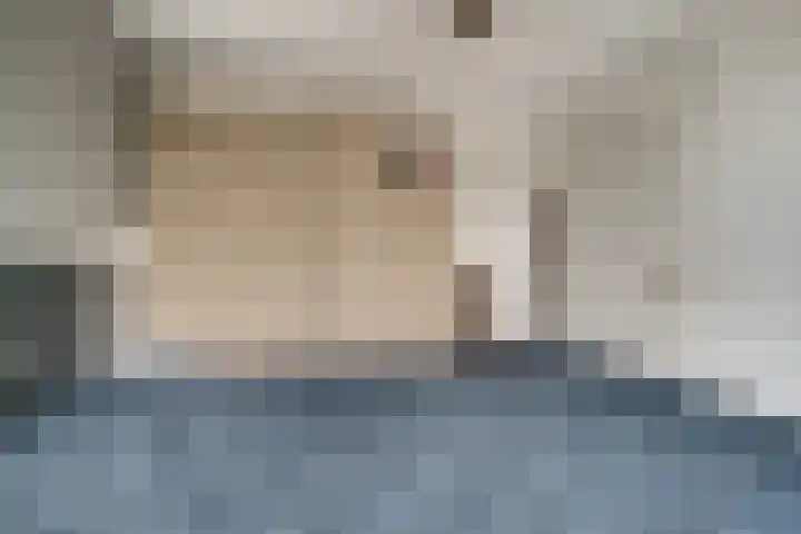 't Stegeslag 72 Zevenaar thumbnail 36