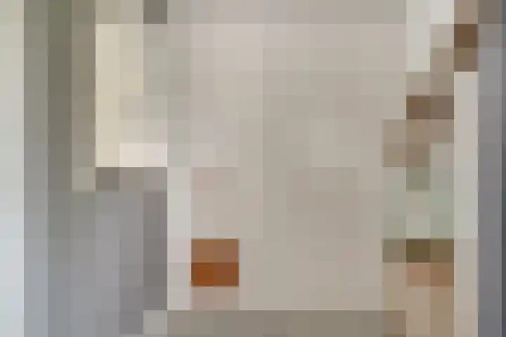 't Stegeslag 72 Zevenaar thumbnail 38