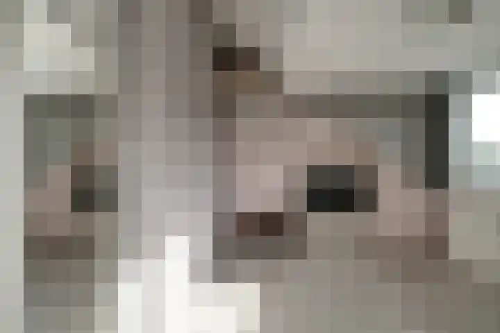 't Stegeslag 72 Zevenaar thumbnail 47