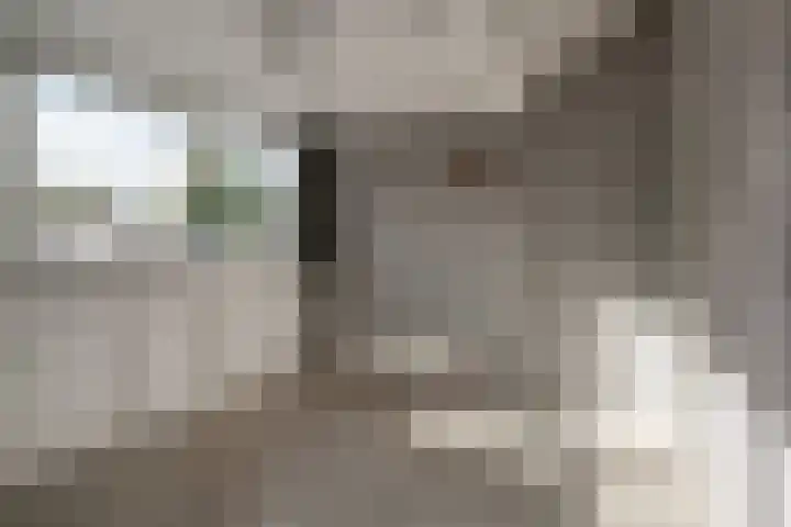 't Stegeslag 72 Zevenaar thumbnail 48