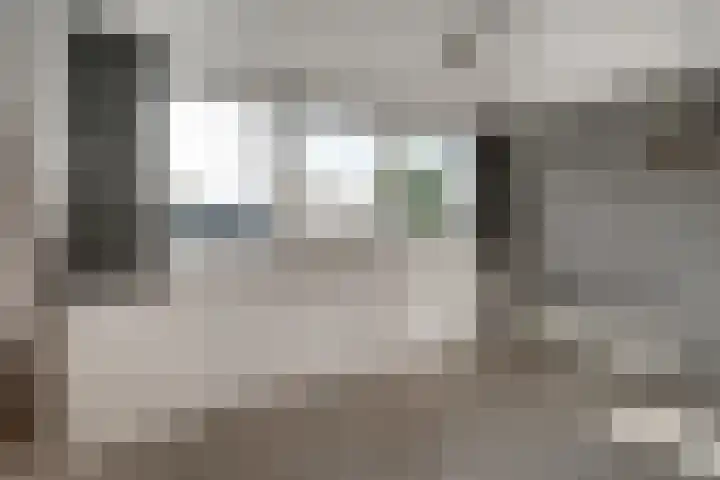 't Stegeslag 72 Zevenaar thumbnail 49
