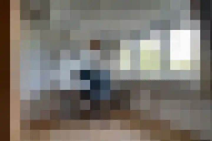 't Stegeslag 72 Zevenaar thumbnail 51
