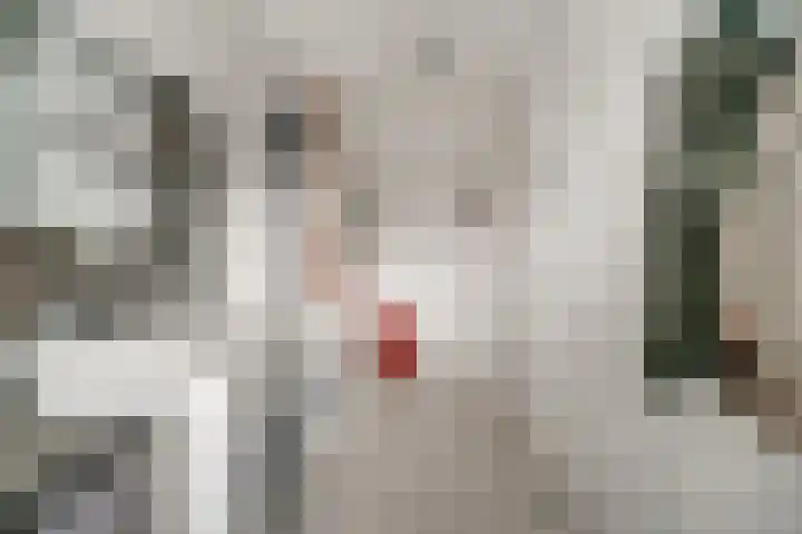 't Stegeslag 72 Zevenaar thumbnail 54
