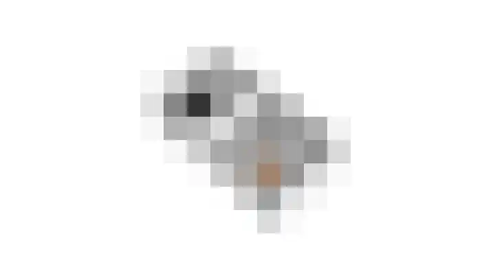 't Stegeslag 72 Zevenaar thumbnail 62