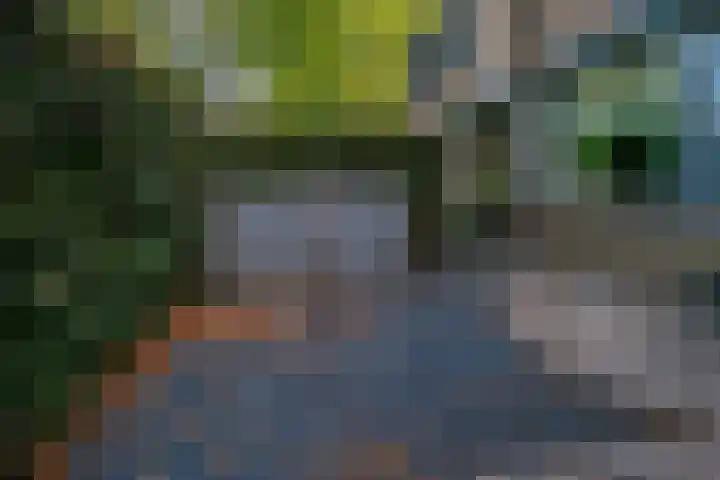 't Stegeslag 72 Zevenaar thumbnail 8