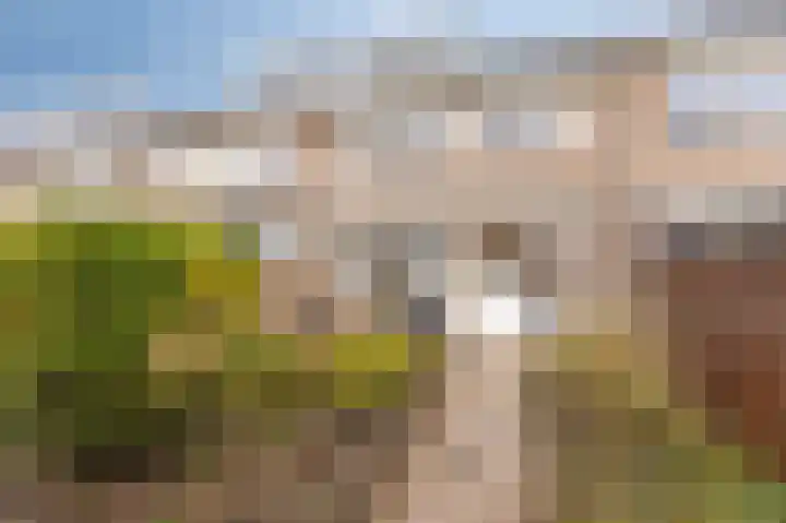 't Stegeslag 81 Zevenaar thumbnail 25