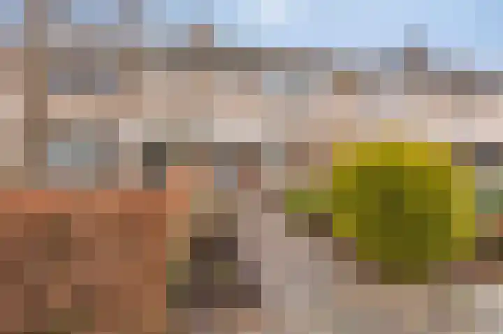 't Stegeslag 81 Zevenaar thumbnail 5