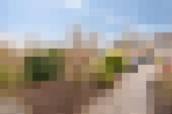 't Stegeslag 81 Zevenaar thumbnail 6