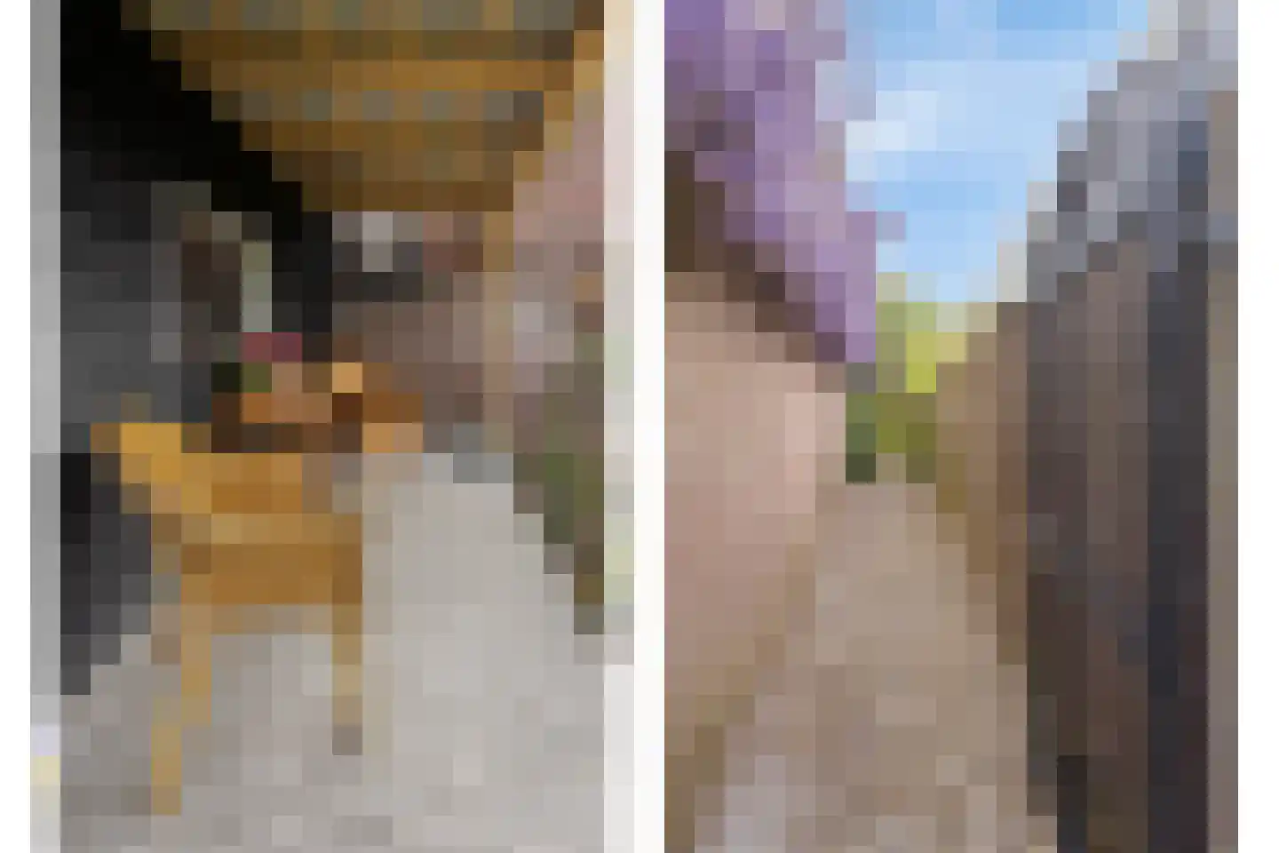 't Stepke 3 Ottersum thumbnail 39