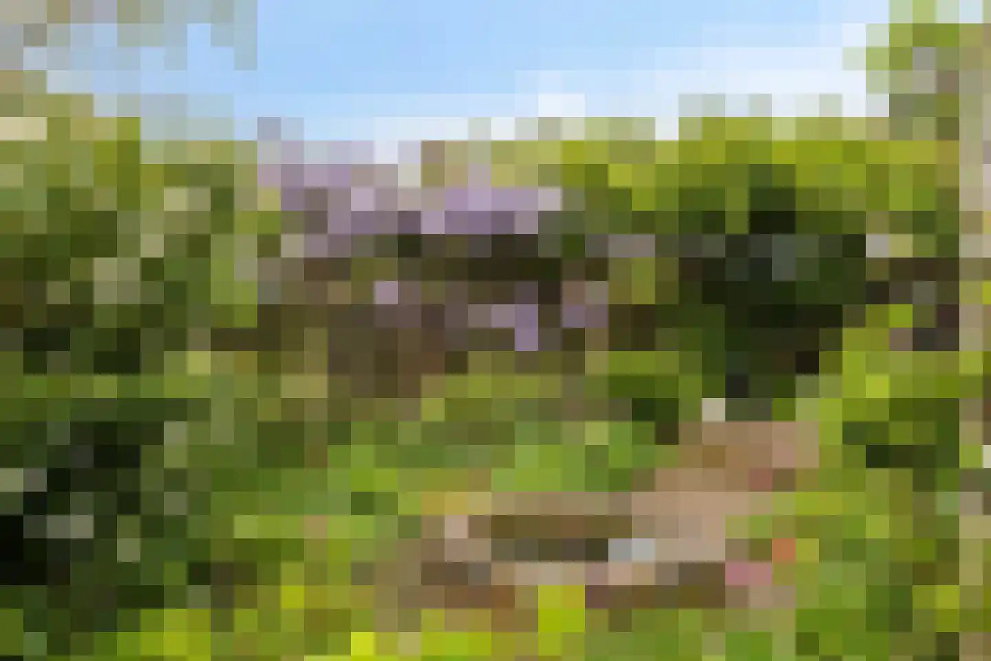 't Stepke 3 Ottersum thumbnail 46