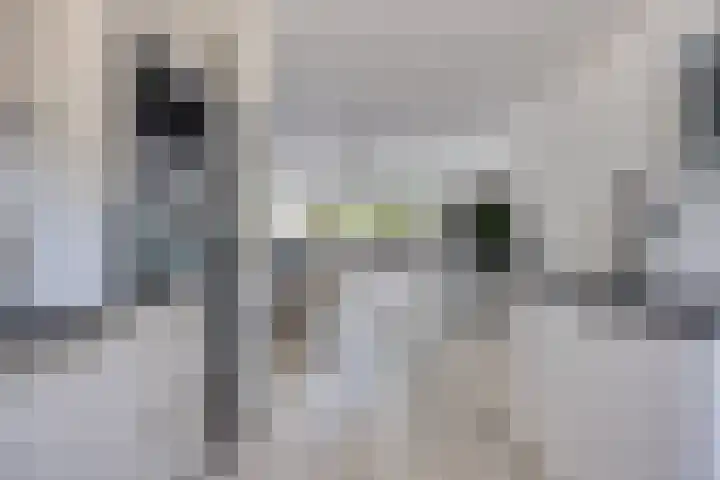 't Stort 12 Sliedrecht thumbnail 14