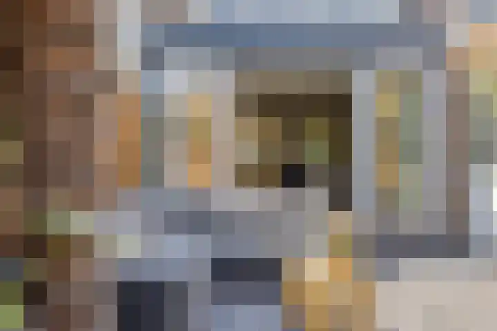 't Stort 12 Sliedrecht thumbnail 27