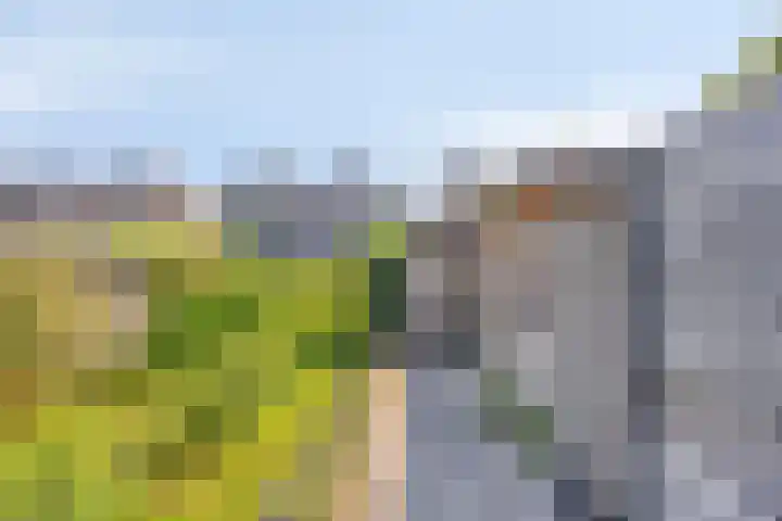 't Stort 12 Sliedrecht thumbnail 33