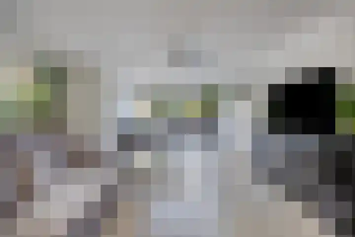 't Stort 12 Sliedrecht thumbnail 6