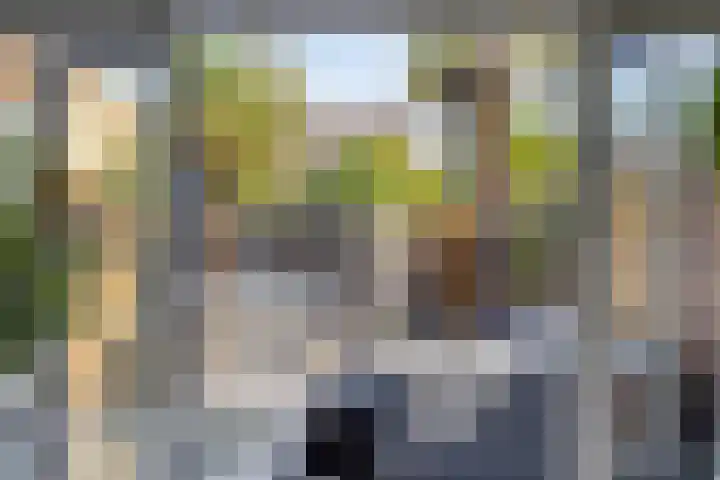 't Stort 12 Sliedrecht thumbnail 7
