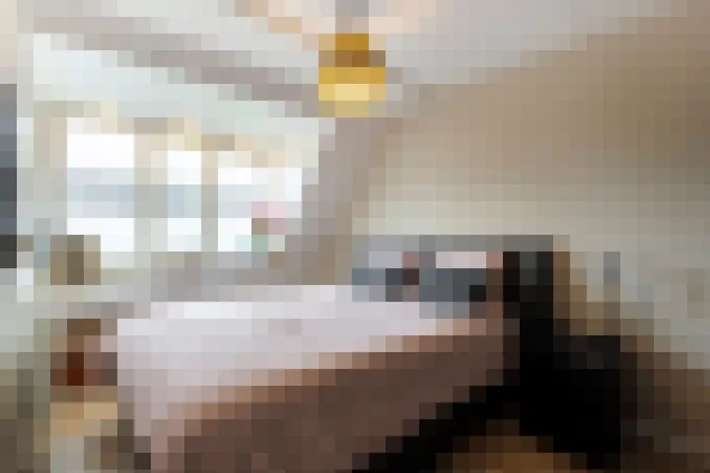 't Stort 13 Sliedrecht thumbnail 14