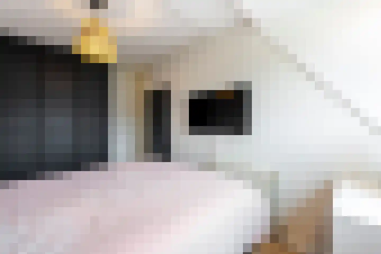't Stort 13 Sliedrecht thumbnail 15