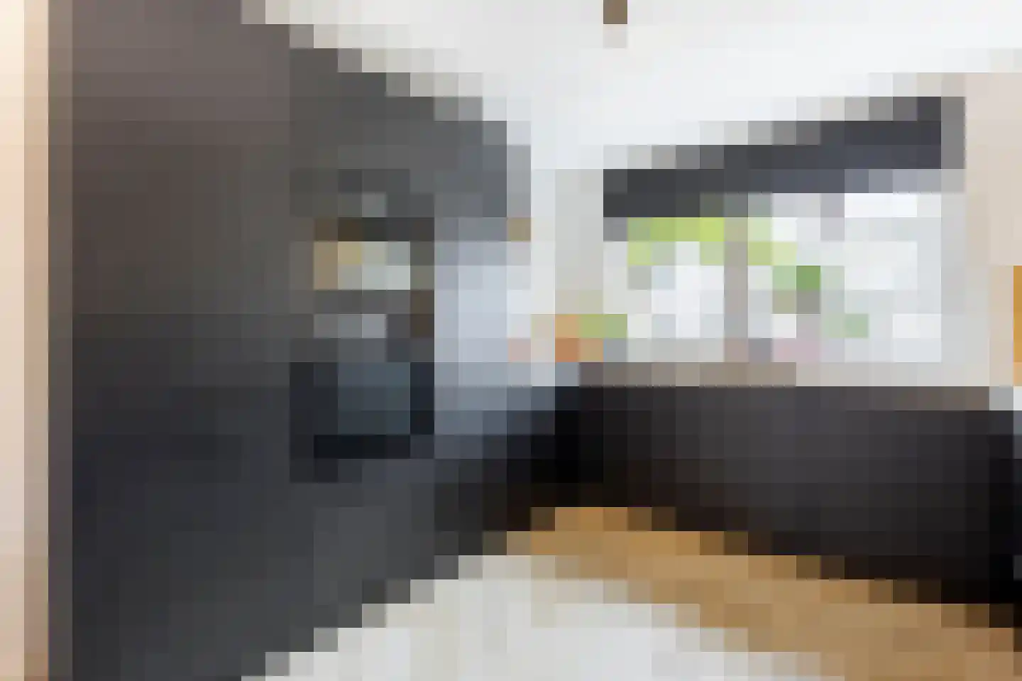 't Stort 13 Sliedrecht thumbnail 9
