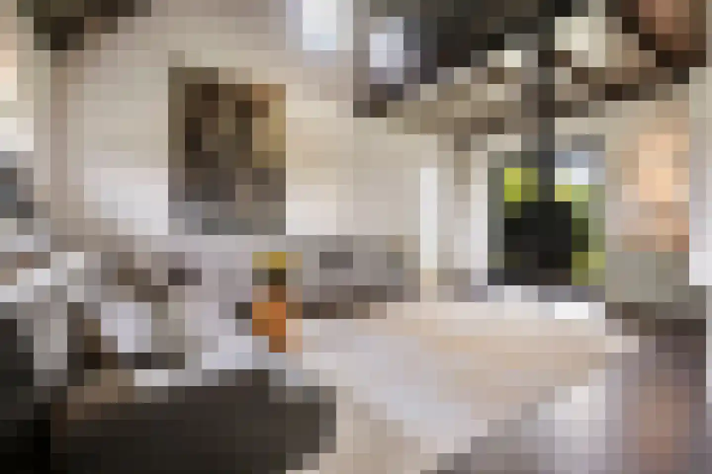 't Stort 22 Leens thumbnail 10