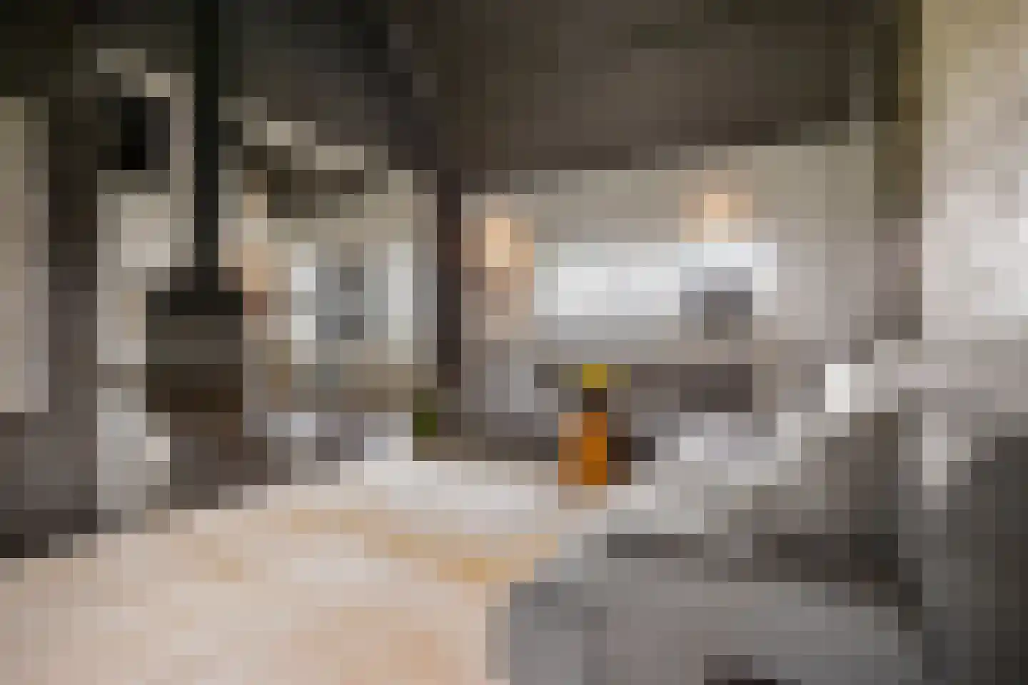 't Stort 22 Leens thumbnail 11