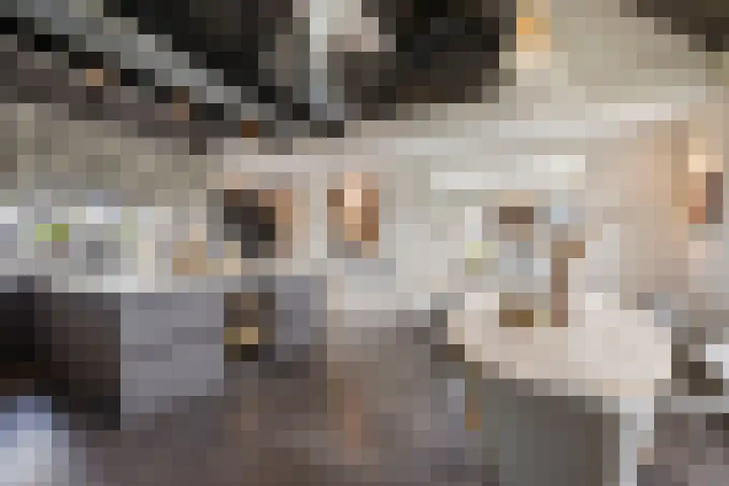 't Stort 22 Leens thumbnail 14