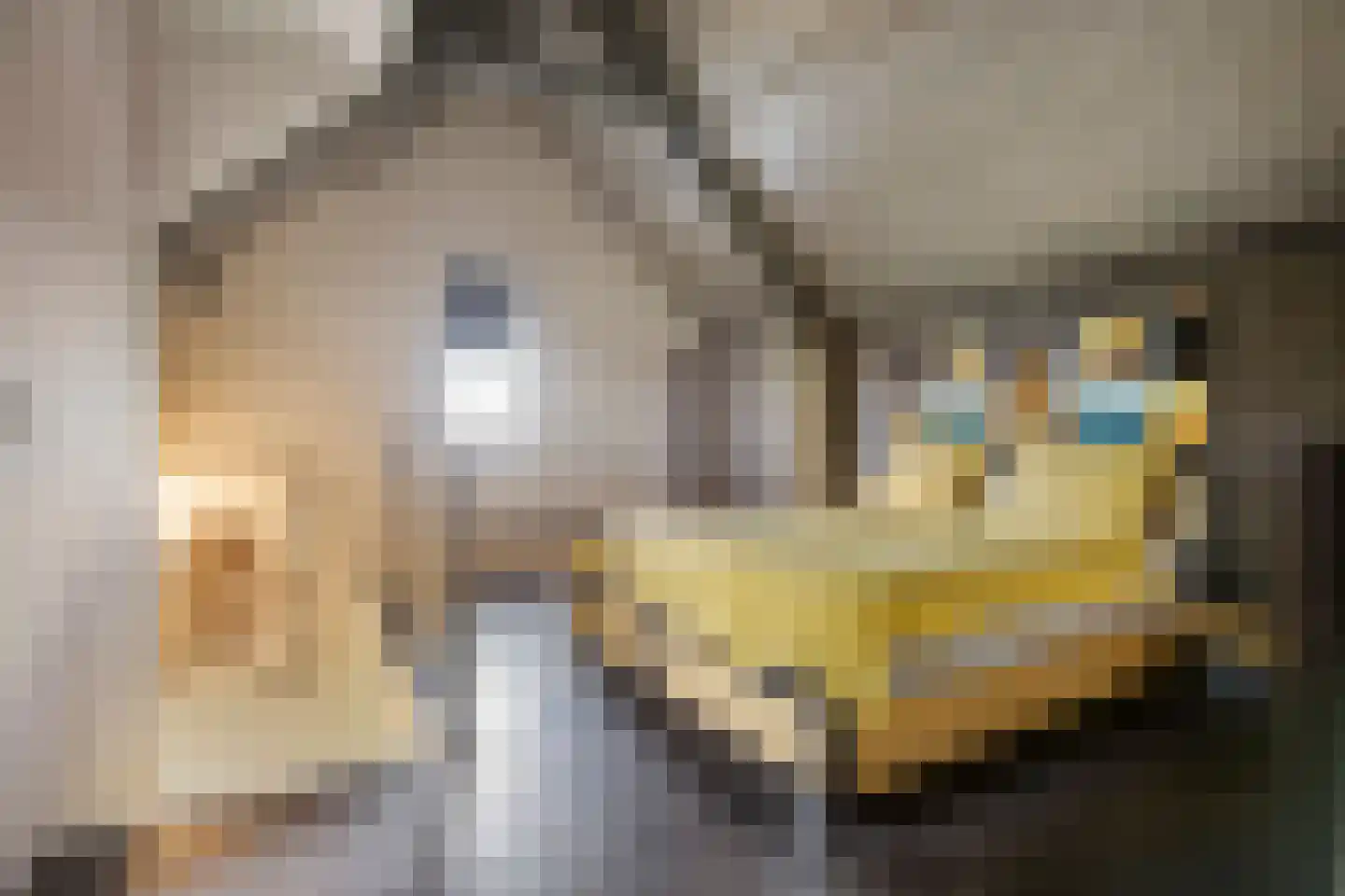 't Stort 22 Leens thumbnail 18